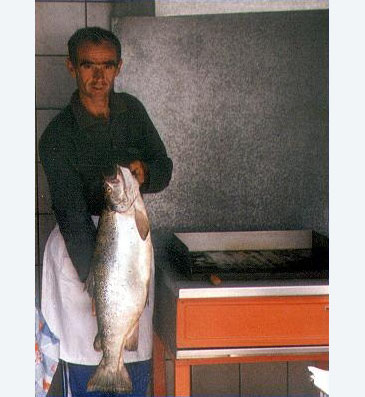 470_Ohrid Trout_Salmo letnica.jpg